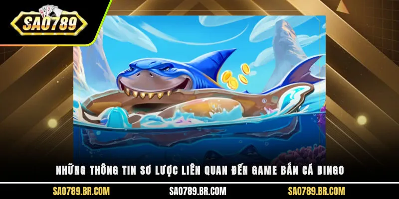 Những thông tin sơ lược liên quan đến game bắn cá Bingo